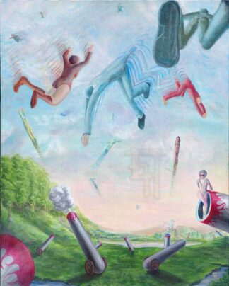 Human Cannonball Training Camp